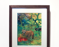 Image for Raccoons in the Time of Covid