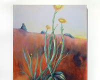 Image for NEW BEGINNINGS
