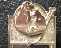 Image for ACVP WHITE COAT PINS