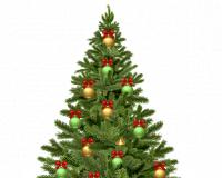 Image for Country Christmas Celebrations