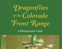 Image for Dragonflies of the Colorado Front Range