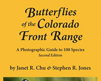 Image for Butterflies of the Colorado Front Range