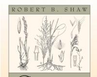 Image for Grasses of Colorado