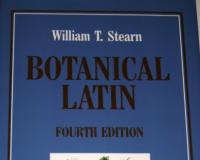 Image for Botanical Latin
