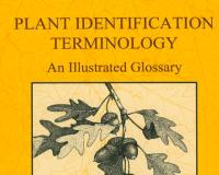 Image for Plant Identification Terminology