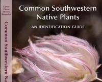 Image for Common Southwestern Native Plants