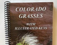 Image for Out of Stock - New Edition Coming -  Colorado Grasses with Illustrated Keys