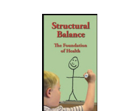Applied Kinesiology テキスト！カイロ！オステ！整体！英語！ Applied Kinesiology テキスト！カイロ！オステ！整体！英語