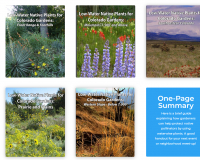Image for Bulk Order or Free Download: Low-Water Native Plants for Colorado Gardens